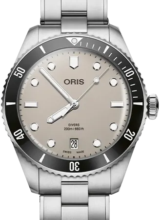 Divers Date Brown Ref. 01 733 7795 4051-Set