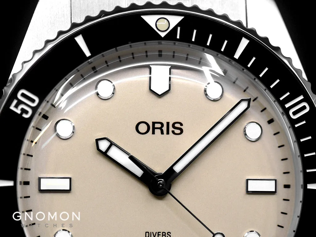 Divers Date Brown Ref. 01 733 7795 4051-Set