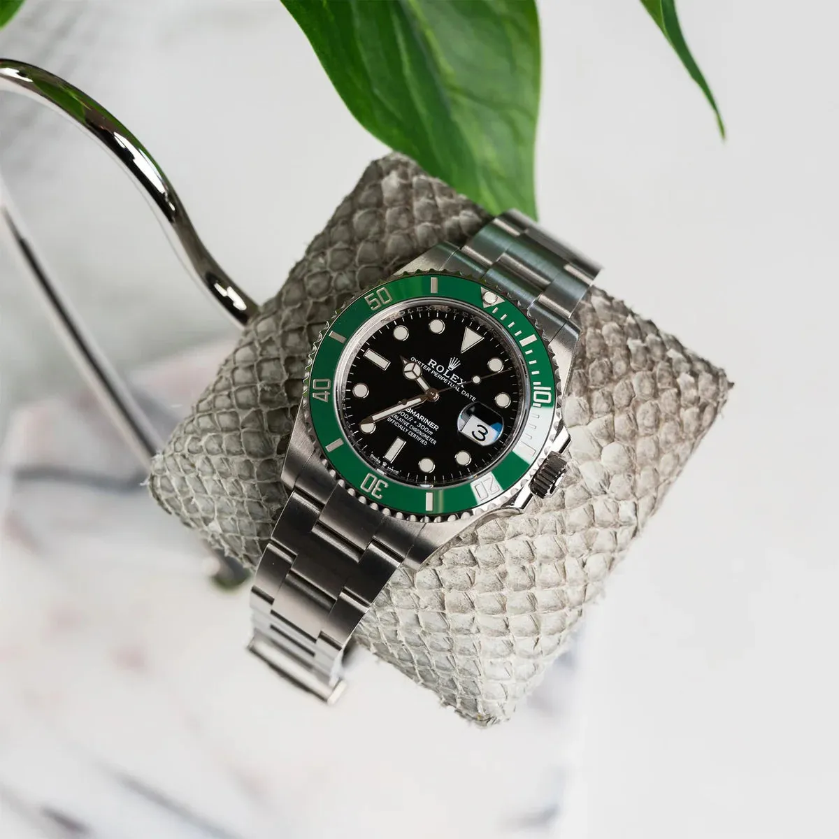 Fawes Luxury Watch Stand  Single Cushion